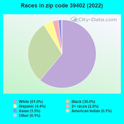 Races in zip code 39402 (2019)