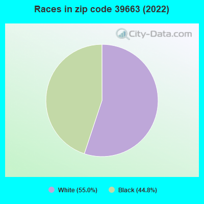 Races in zip code 39663 (2019)