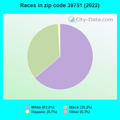 Races in zip code 39751 (2022)