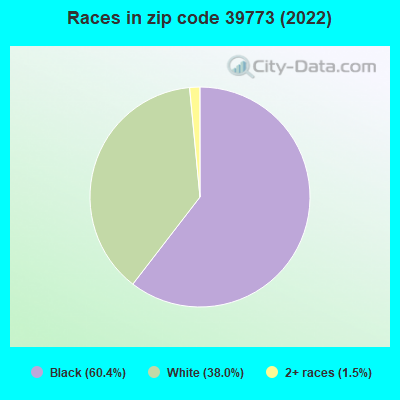 Races in zip code 39773 (2019)