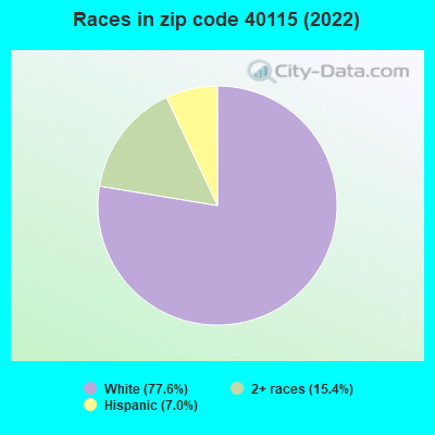 Races in zip code 40115 (2022)