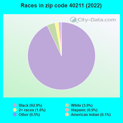 Races in zip code 40211 (2019)