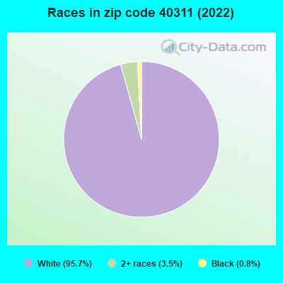 Races in zip code 40311 (2022)
