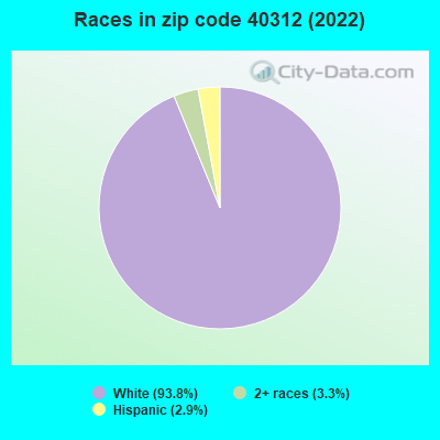 Races in zip code 40312 (2019)