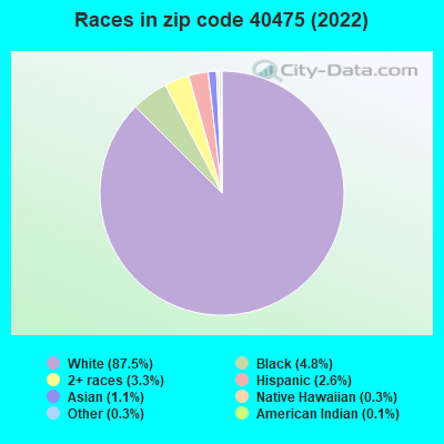 Races in zip code 40475 (2019)