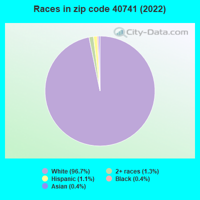 Races in zip code 40741 (2019)