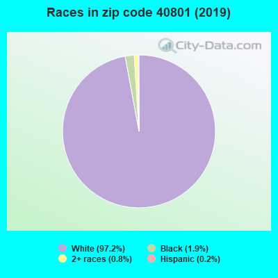 Races in zip code 40801 (2019)