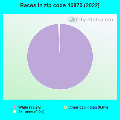 Races in zip code 40870 (2022)