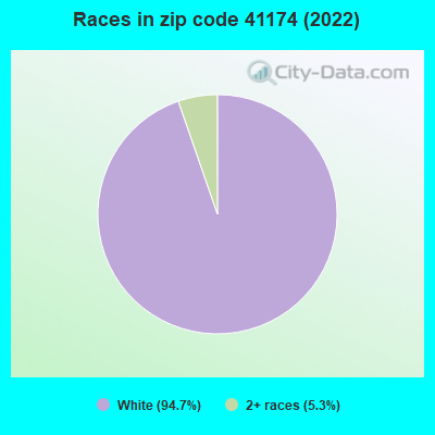 Races in zip code 41174 (2022)
