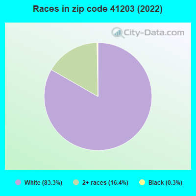Races in zip code 41203 (2022)