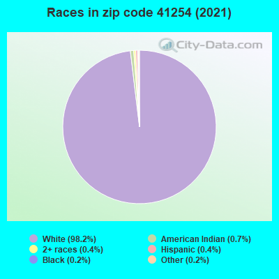 Races in zip code 41254 (2019)