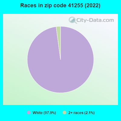 Races in zip code 41255 (2022)