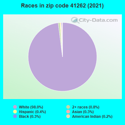 Races in zip code 41262 (2019)