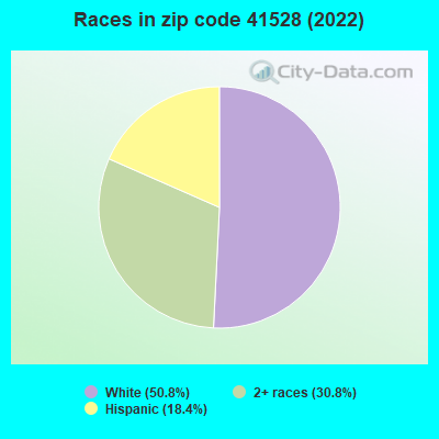 Races in zip code 41528 (2022)