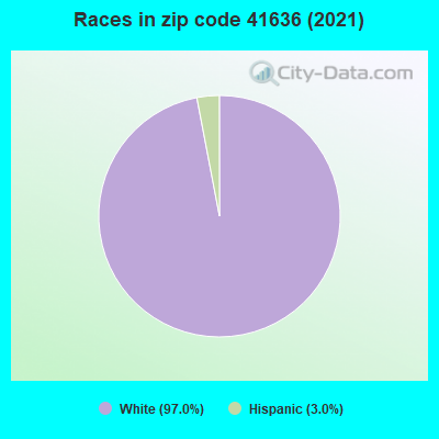 Races in zip code 41636 (2019)