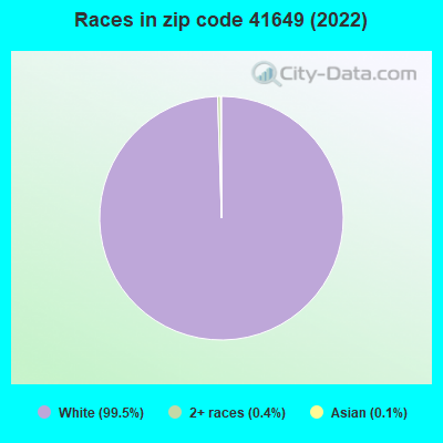 Races in zip code 41649 (2022)
