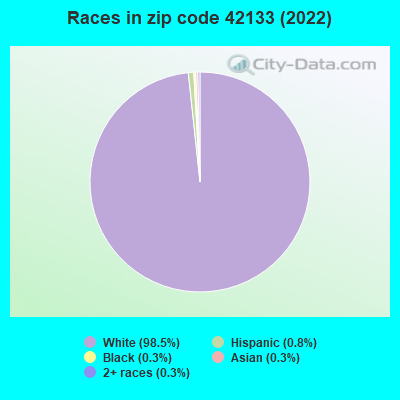 Races in zip code 42133 (2022)