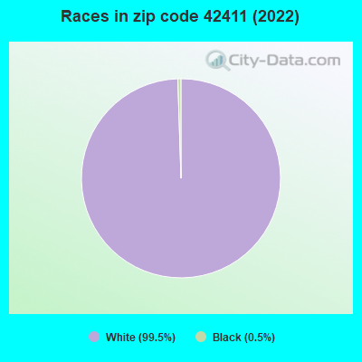 Races in zip code 42411 (2022)