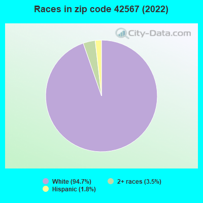 Races in zip code 42567 (2019)