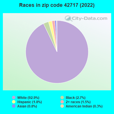 Races in zip code 42717 (2019)