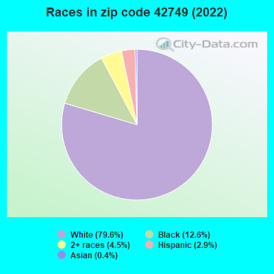 Races in zip code 42749 (2022)