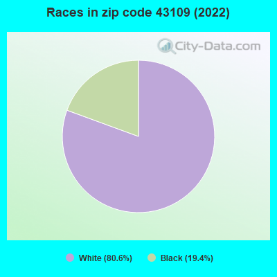 Races in zip code 43109 (2022)