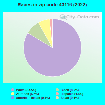 Races in zip code 43116 (2019)