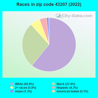 Races in zip code 43207 (2019)