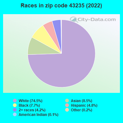 Races in zip code 43235 (2019)