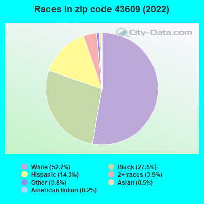 Races in zip code 43609 (2019)
