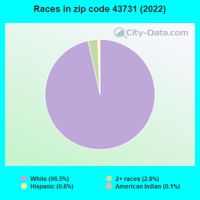 Races in zip code 43731 (2019)