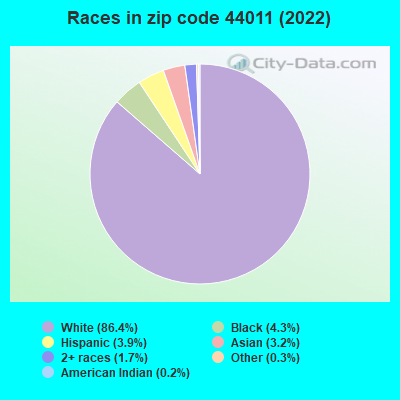 Races in zip code 44011 (2022)