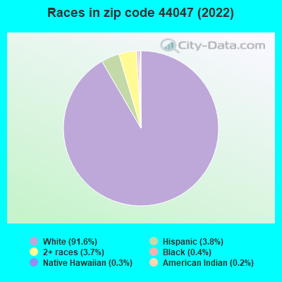 Races in zip code 44047 (2019)