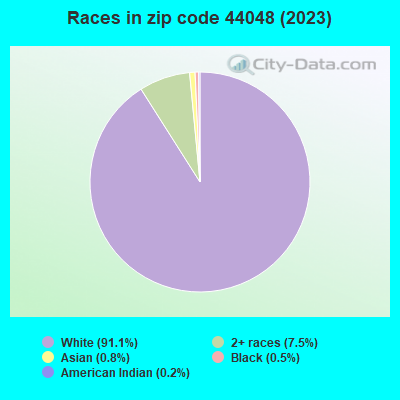 Races in zip code 44048 (2022)