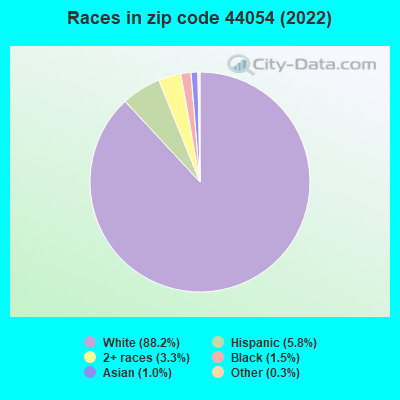 Races in zip code 44054 (2019)