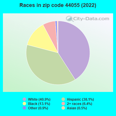 Races in zip code 44055 (2019)