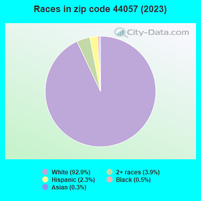 Races in zip code 44057 (2021)
