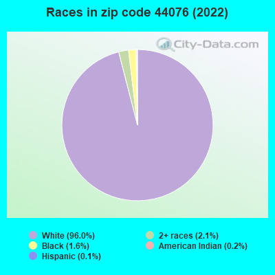 Races in zip code 44076 (2019)