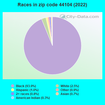 Races in zip code 44104 (2021)
