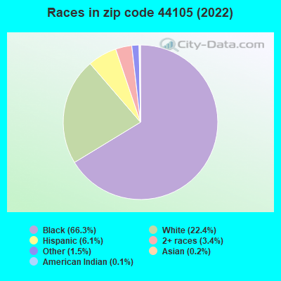 Races in zip code 44105 (2022)