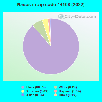 Races in zip code 44108 (2021)