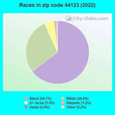 Races in zip code 44123 (2019)