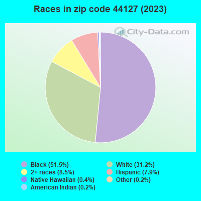 Races in zip code 44127 (2021)