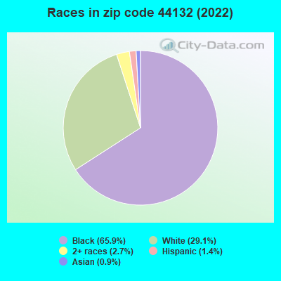 Races in zip code 44132 (2022)
