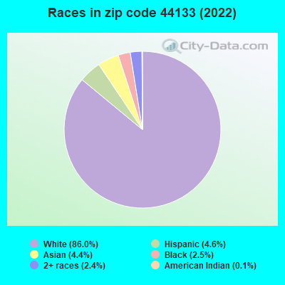 Races in zip code 44133 (2022)