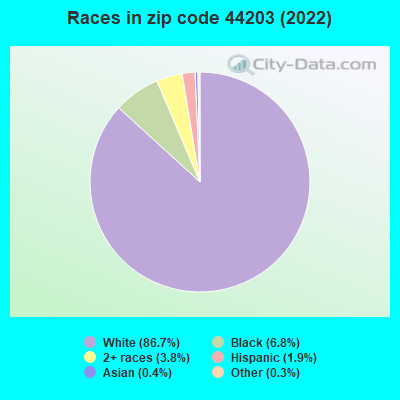Races in zip code 44203 (2021)