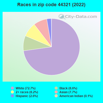 Races in zip code 44321 (2021)