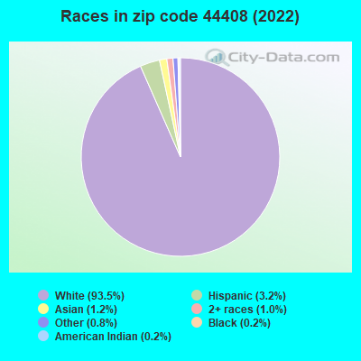 Races in zip code 44408 (2019)