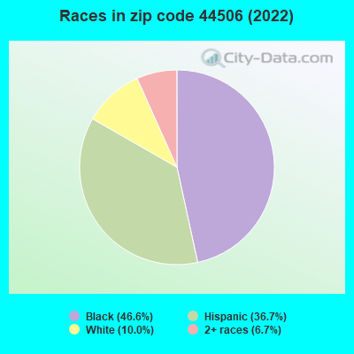 Races in zip code 44506 (2022)