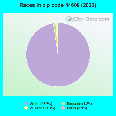Races in zip code 44609 (2019)